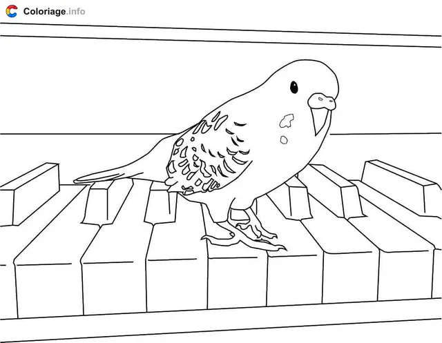 Coloriage Perroquet sur un piano - Perroquet à imprimer