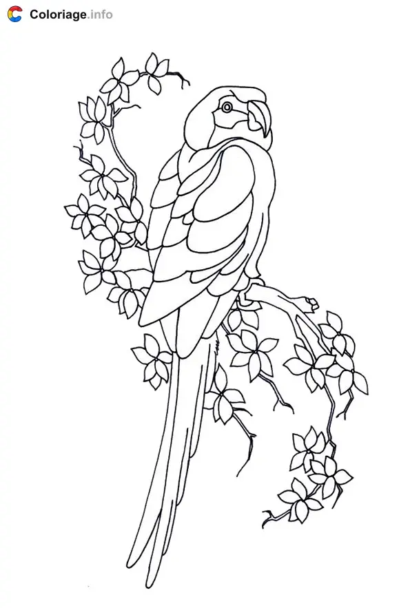 Parrot on a Flowering Branch coloring page to print