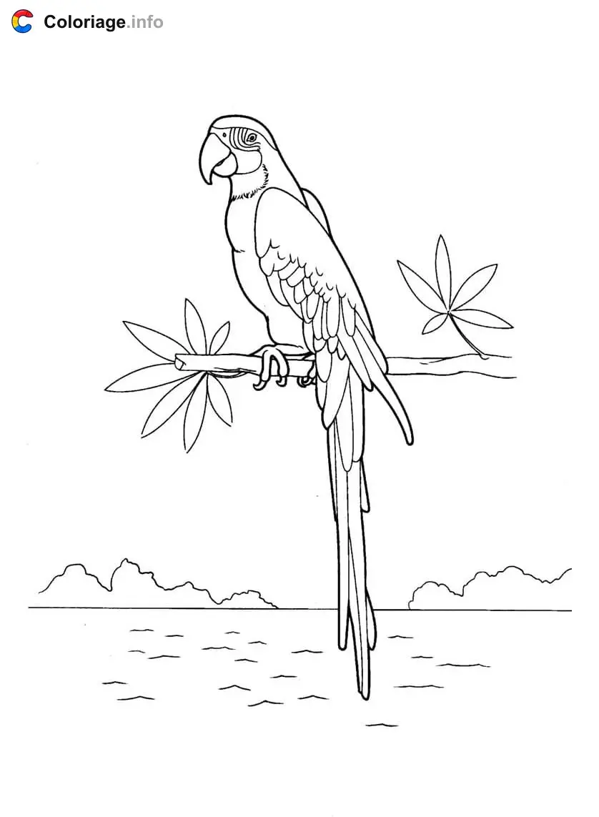 Tropical Parrot by the Sea coloring page to print