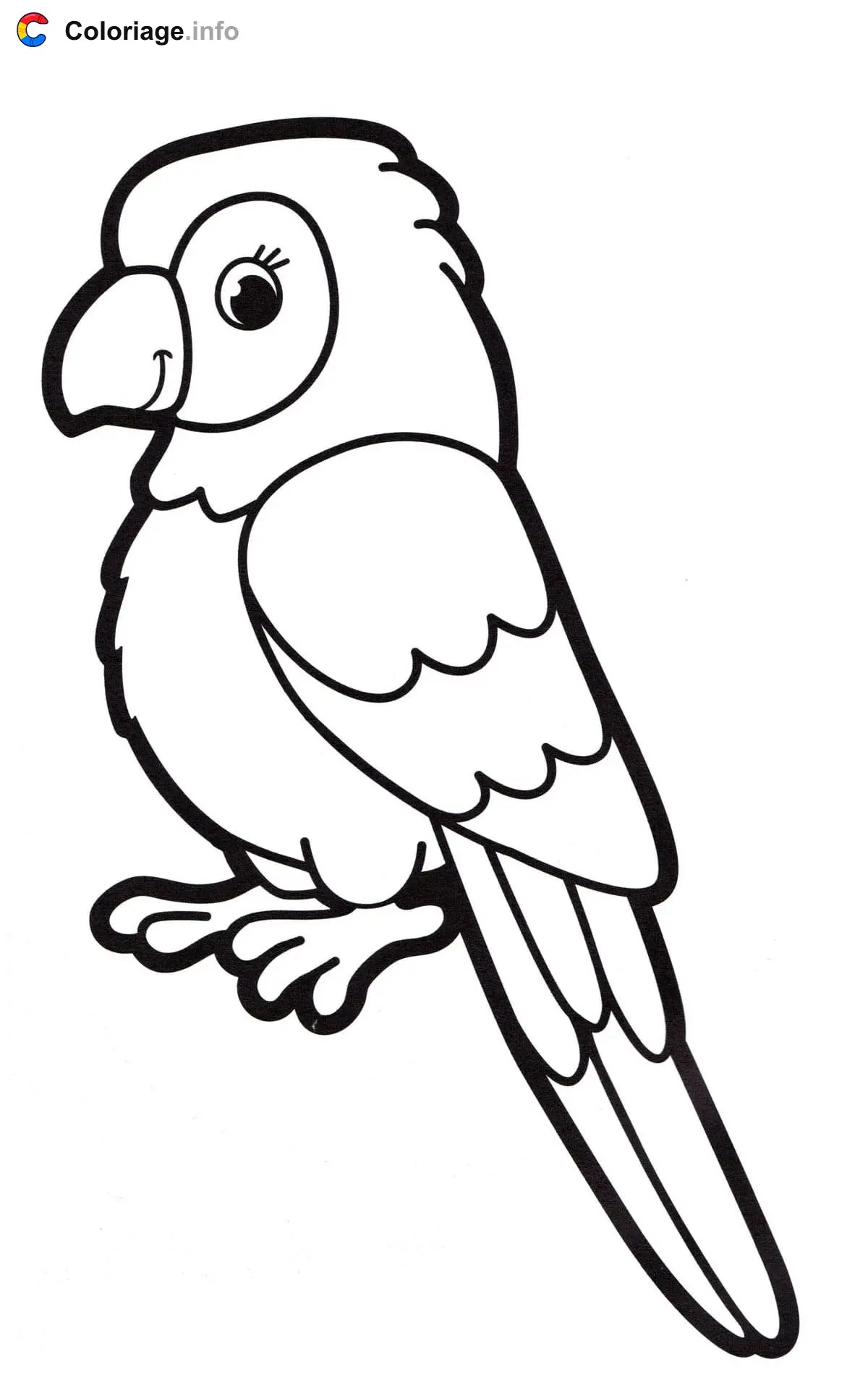 Parakeet Parrot for Preschool coloring page to print