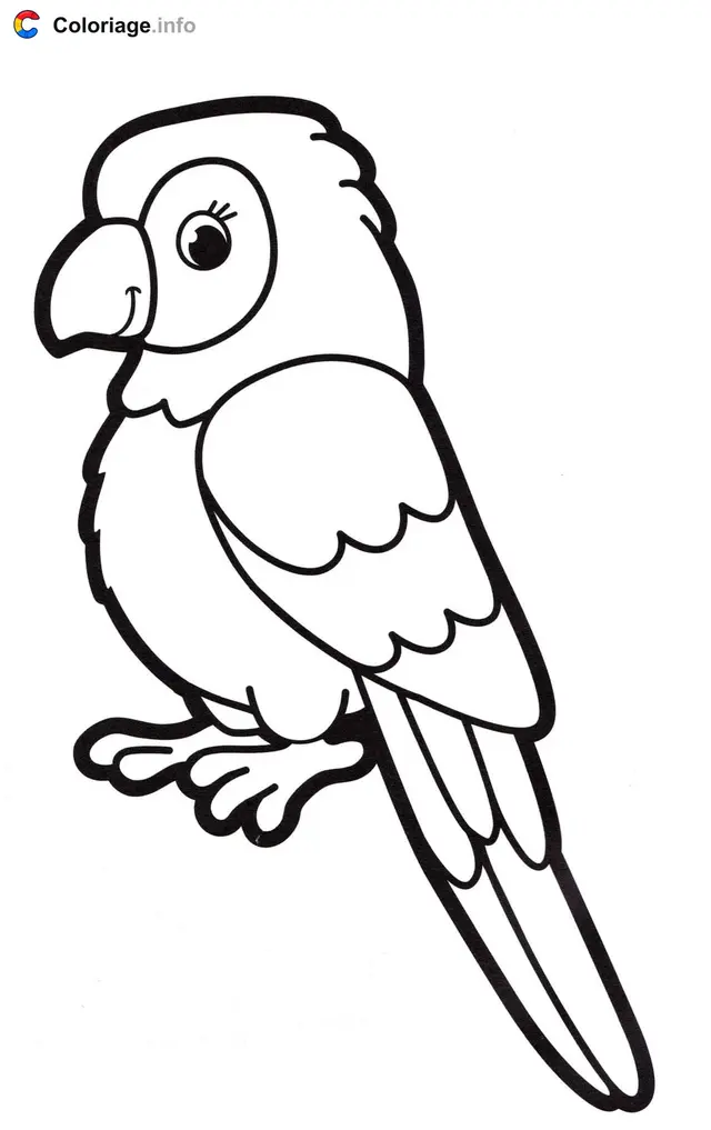 Coloriage Perruche perroquet maternelle - Perroquet à imprimer