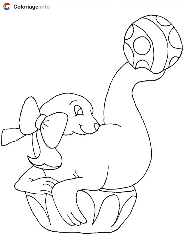 Coloriage Phoque avec un ballon de cirque - Phoque à imprimer