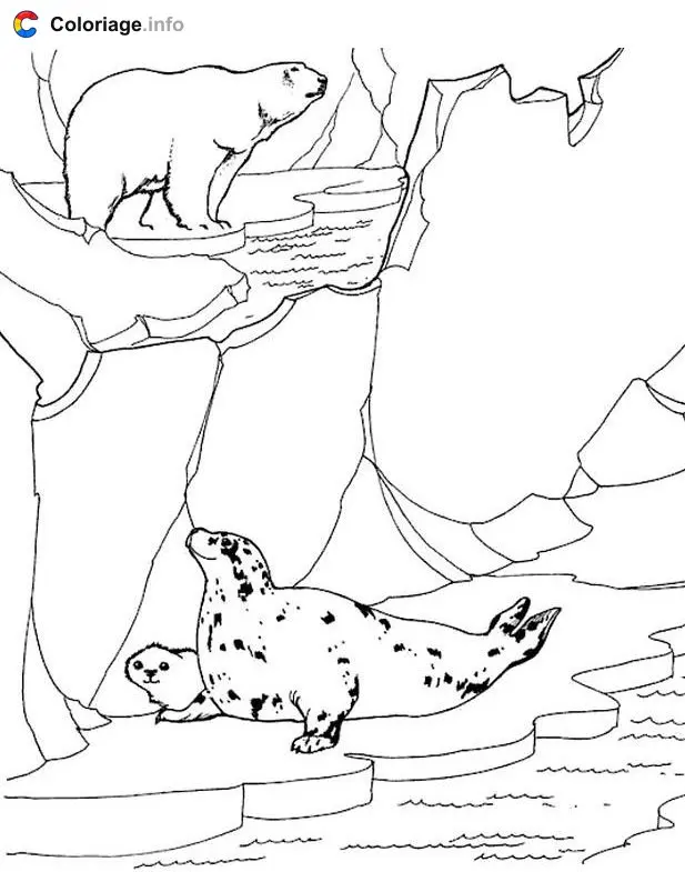 Coloriage Phoque et ours polaire sur la banquise - Phoque à imprimer