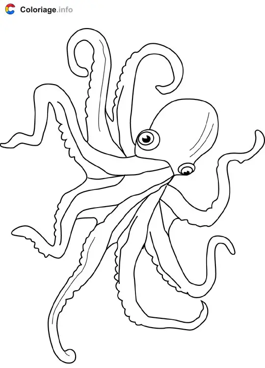 Coloriage Pieuvre - Pieuvre à imprimer