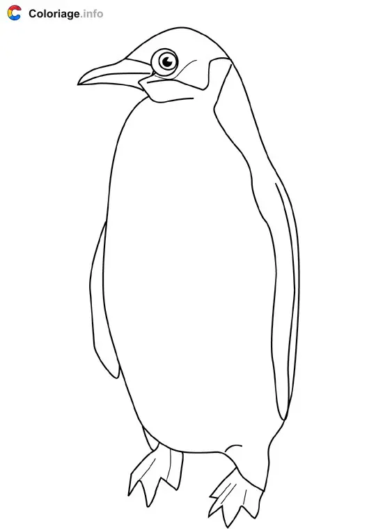 Coloriage Pingouin - Océan à imprimer