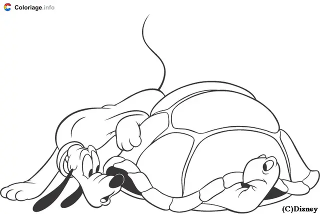 Coloriage Pluto avec une tortue Disney - Pluto à imprimer