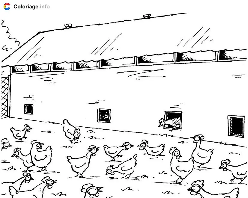 Coloriage Poulailler - Coq à imprimer