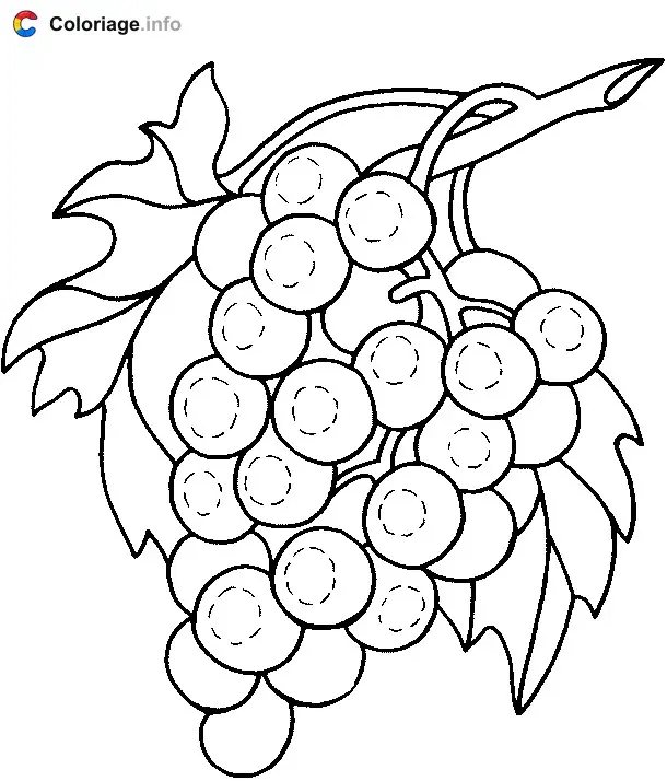 Coloriage Raisin - Raisin à imprimer