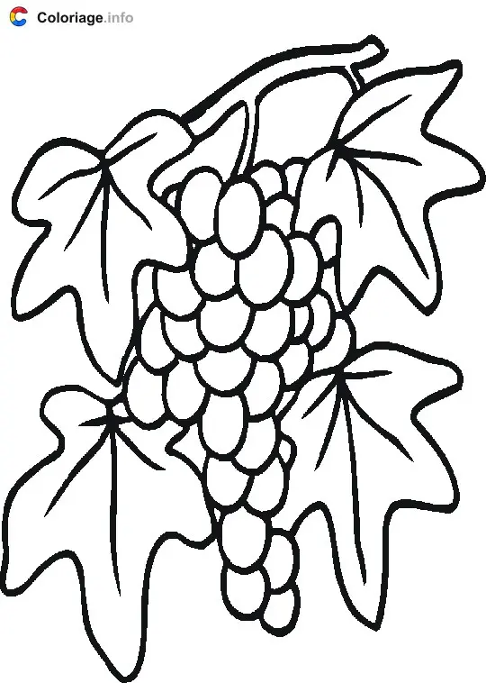 Coloriage Raisins et feuilles - Raisin à imprimer