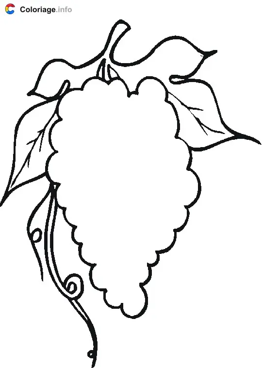 Coloriage Raisins - Raisin à imprimer