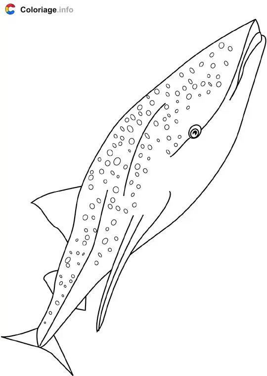 Coloriage Requin baleine - Baleines à imprimer