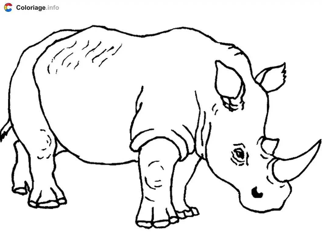 Coloriage Rhinocéros à colorier - Rhinocéros à imprimer