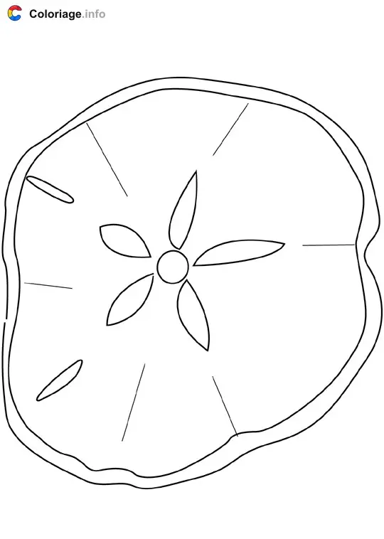 Coloriage Sand dollar - Océan à imprimer