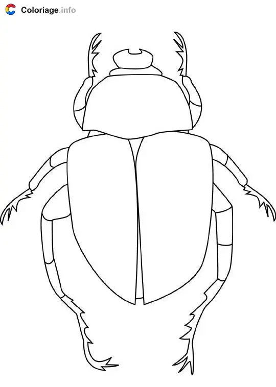 Coloriage Scarabée de scarabée - Insectes à imprimer