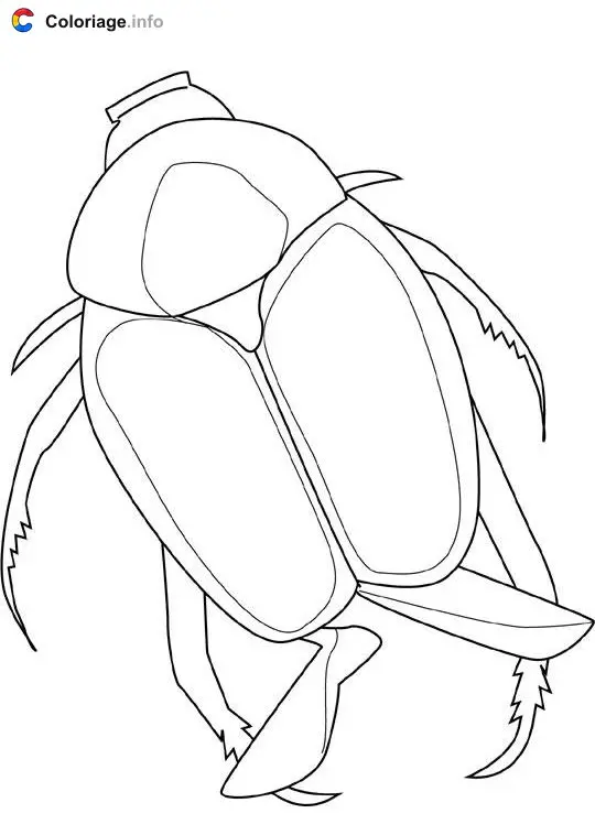 Coloriage Scarabée japonais - Insectes à imprimer