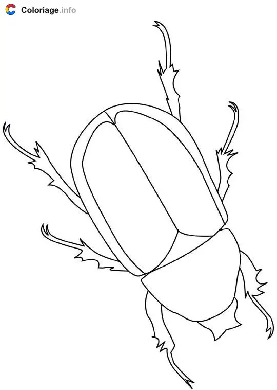Coloriage Scarabée - Insectes à imprimer