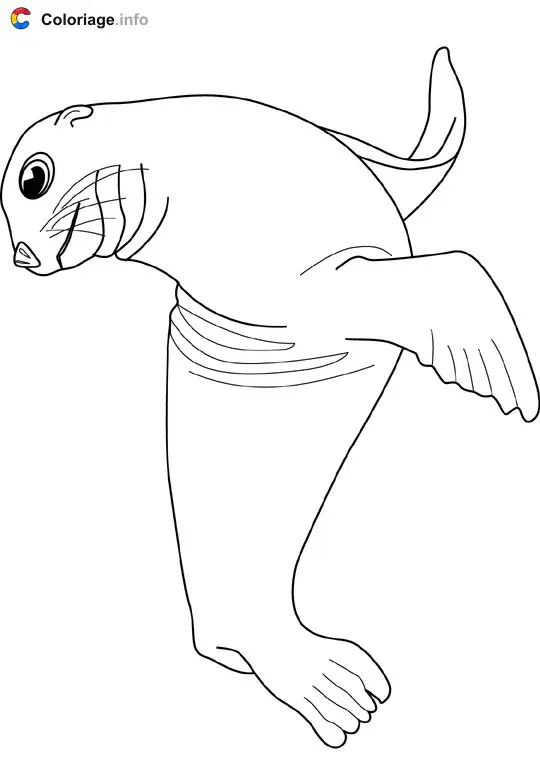Coloriage Sea lion - Océan à imprimer