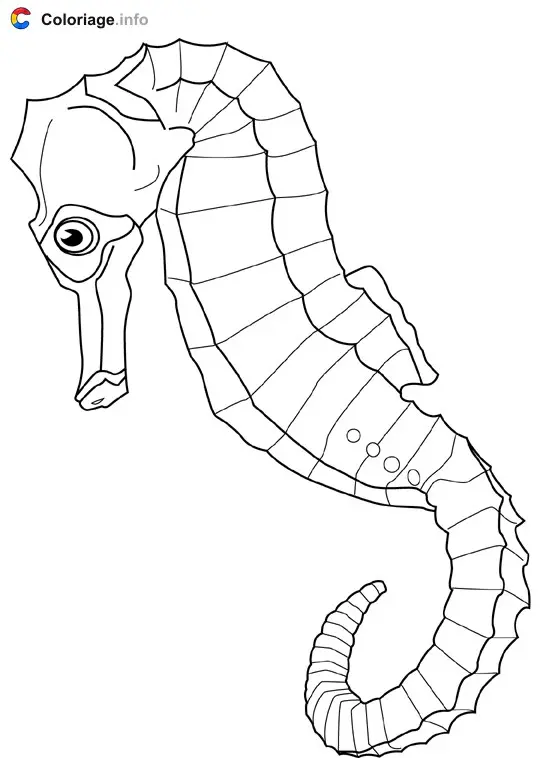 Coloriage Seahorse - Océan à imprimer