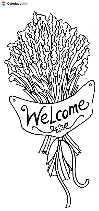 Coloriage Senteur de lavande - Plantes à imprimer