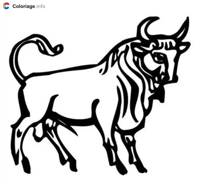 Coloriage Taureau - Signes astrologiques à imprimer