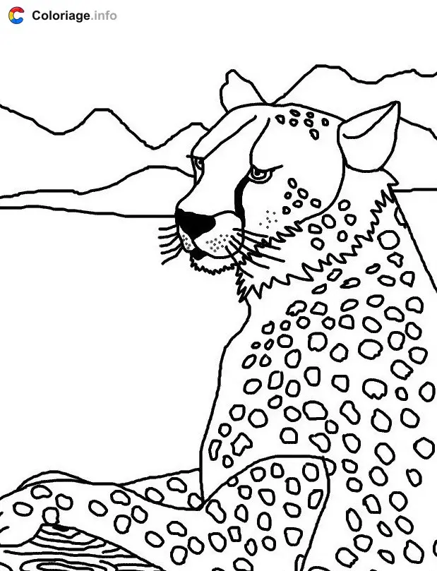 Coloriage Tête de guépard - Guépard à imprimer