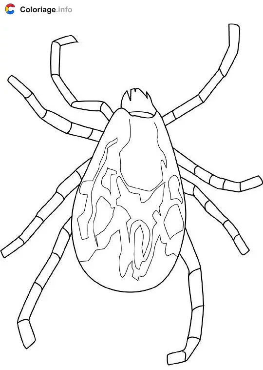 Coloriage Tick - Insectes à imprimer