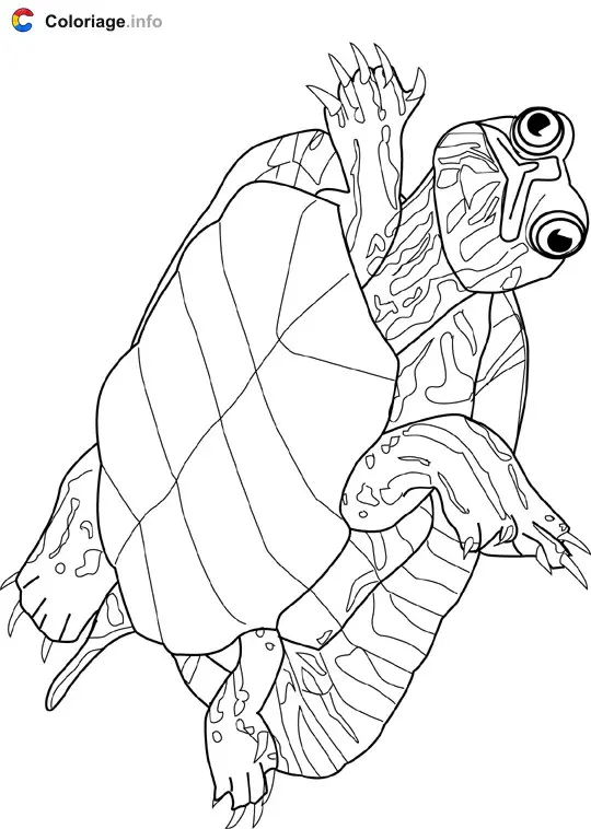 Coloriage Tortue - Océan à imprimer