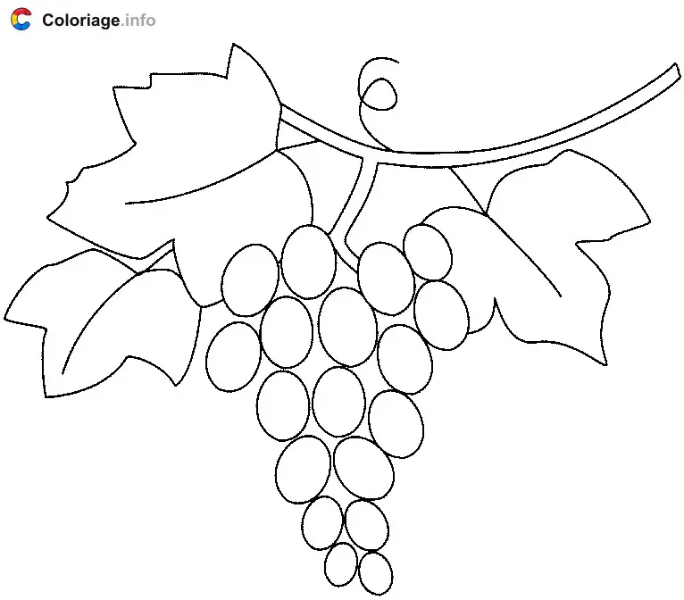 Coloriage Trois feuilles et une grappe de raisin - Raisin à imprimer