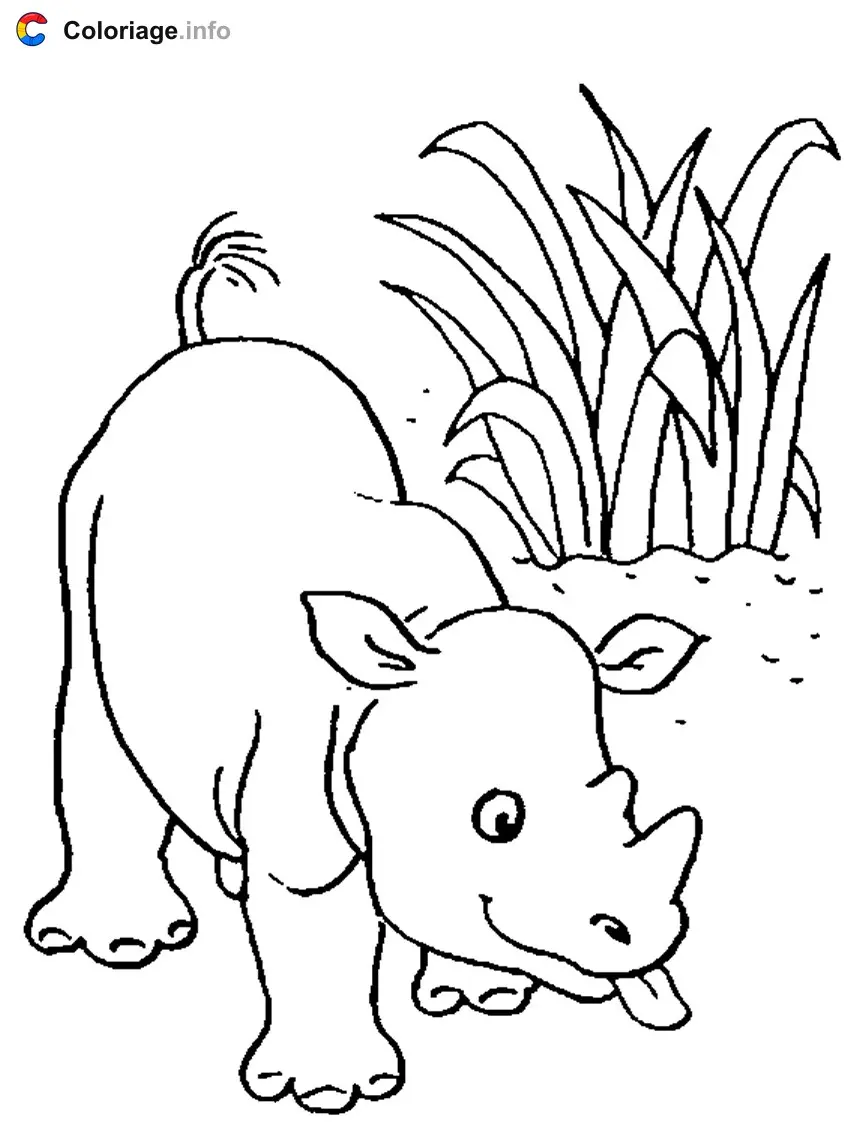 Coloriage Un bébé rhinocéros - Rhinocéros à imprimer