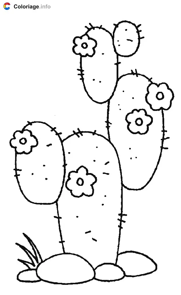 Coloriage Un cactus dans le désert - Plantes à imprimer