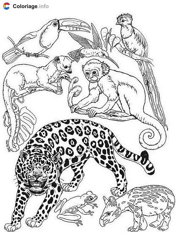 Coloriage Un guépard avec les animaux de la jungle - Guépard à imprimer