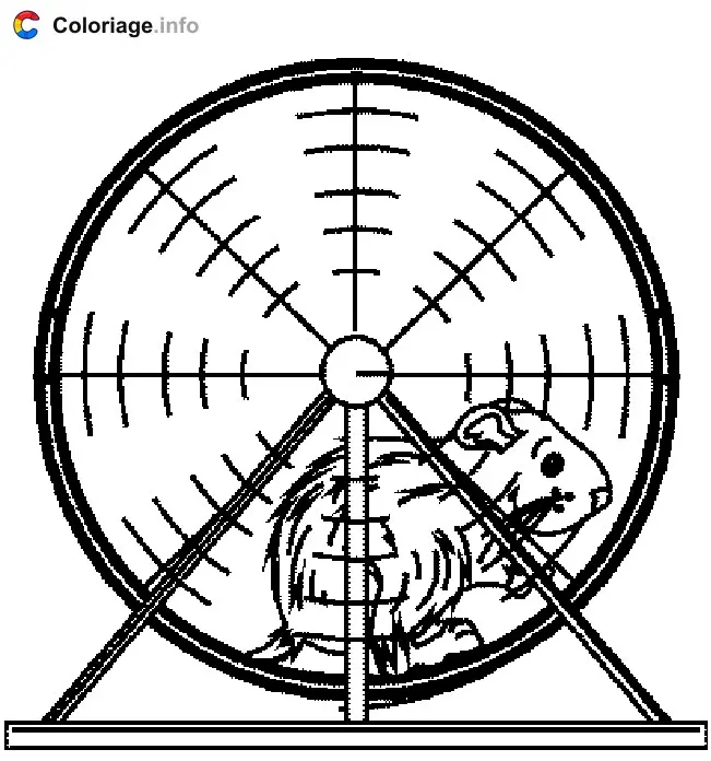 Coloriage Un hamster dans une roue - Hamster à imprimer