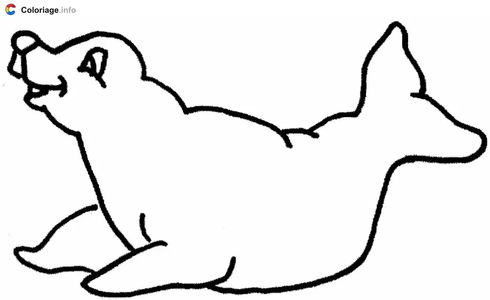 Coloriage Un phoque de profil - Phoque à imprimer
