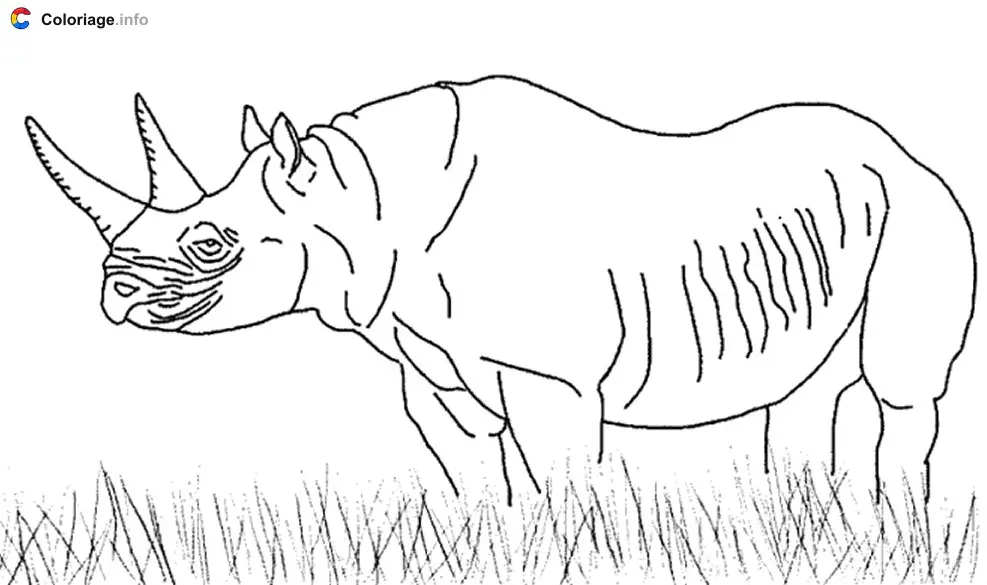 Coloriage Un rhinocéros dans la savane - Rhinocéros à imprimer