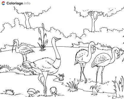 Coloriage Une autruche en milieu naturel - Autruche à imprimer