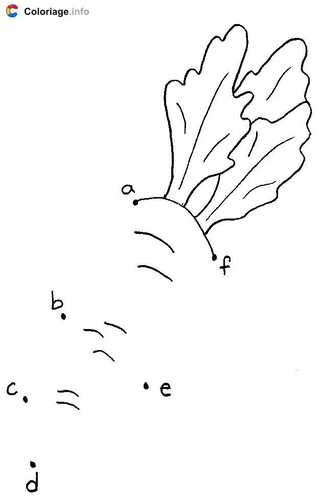 Coloriage Une carotte - Points a relier à imprimer