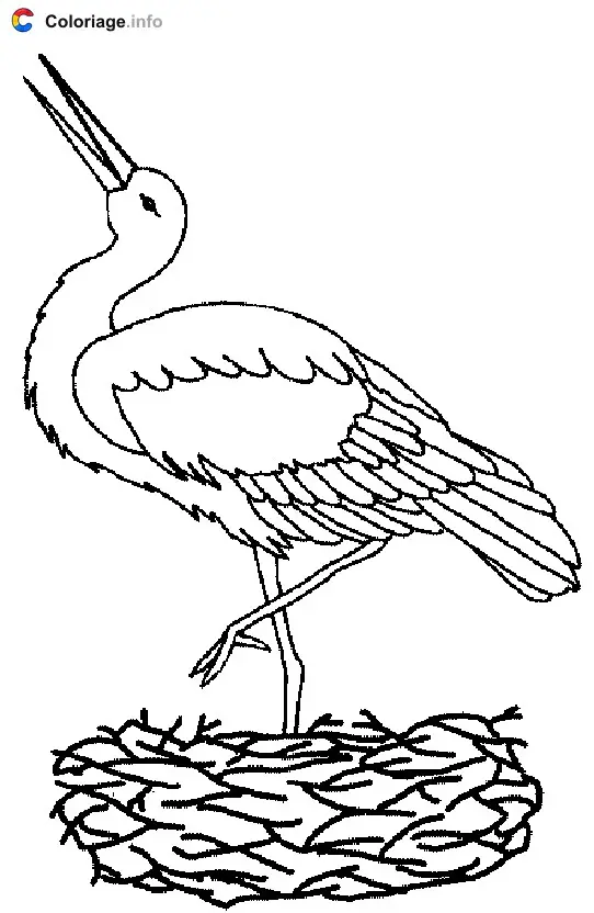 Coloriage Une cigogne dans son nid - Cigogne à imprimer