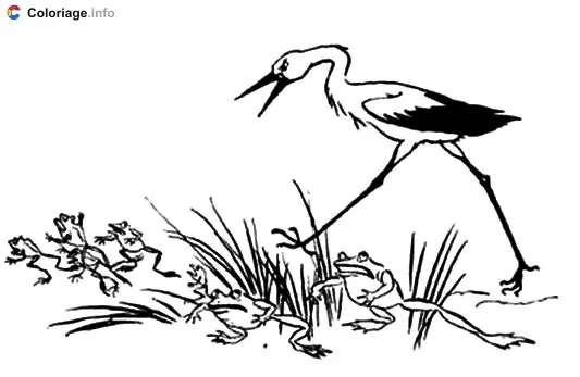 Coloriage Une cigogne qui chasse les grenouilles - Cigogne à imprimer