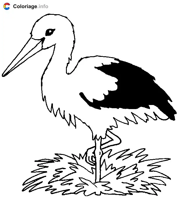 Coloriage Une cigogne sur son nid - Cigogne à imprimer