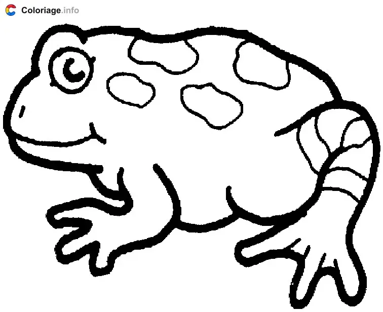 Coloriage Une grenouille avec des taches - Grenouille à imprimer