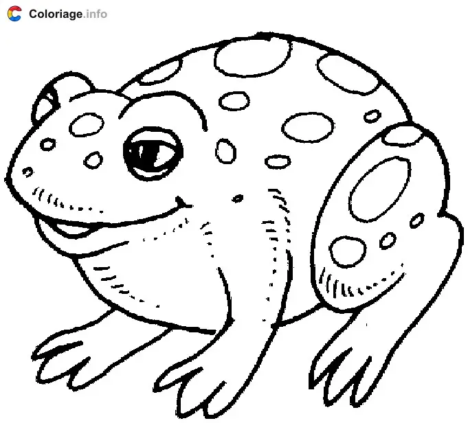 Coloriage Une grosse grenouille - Grenouille à imprimer