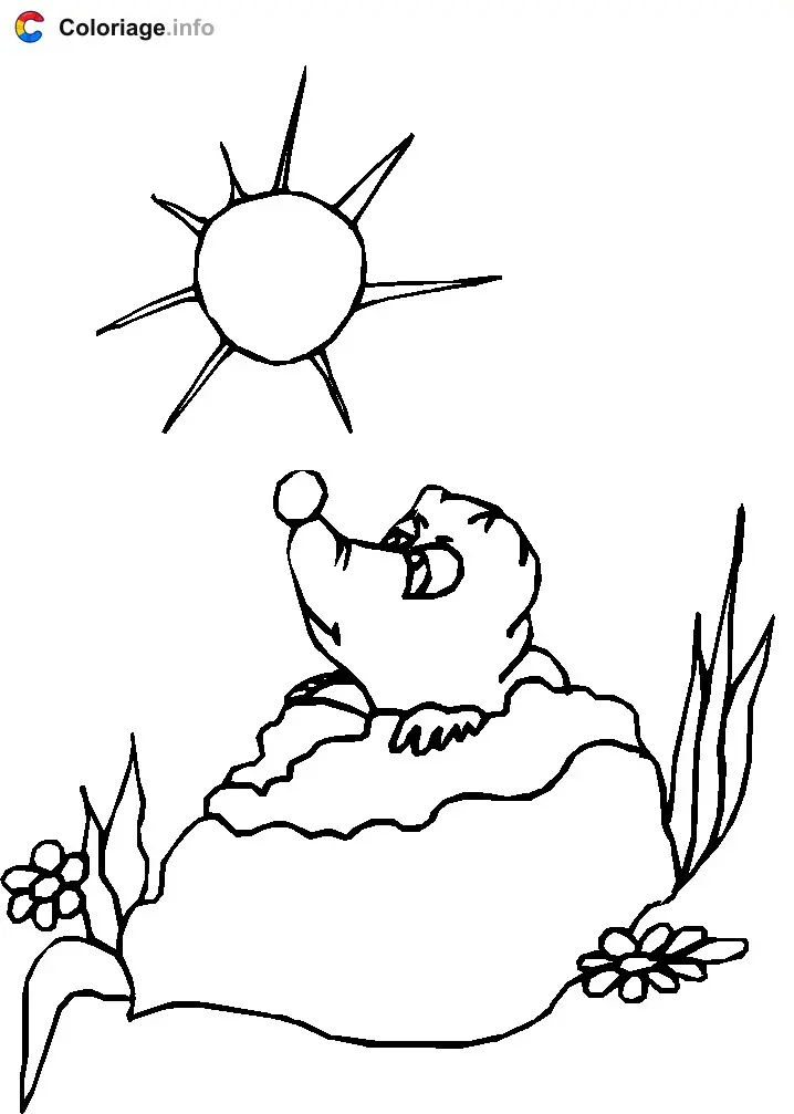 Coloriage Une marmotte au soleil - Marmotte à imprimer