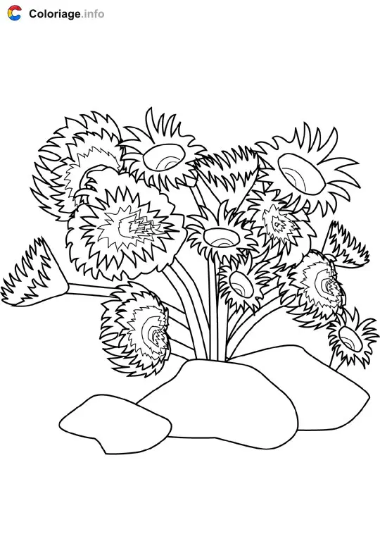 Coloriage Vers de tube - Océan à imprimer