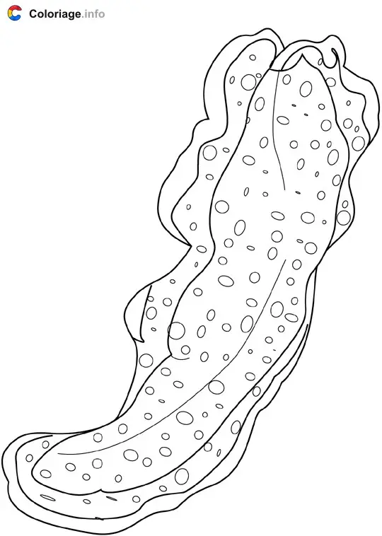 Coloriage Vers marins - Océan à imprimer