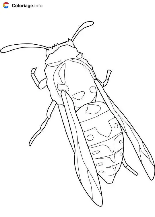 Coloriage Veste jaune - Insectes à imprimer