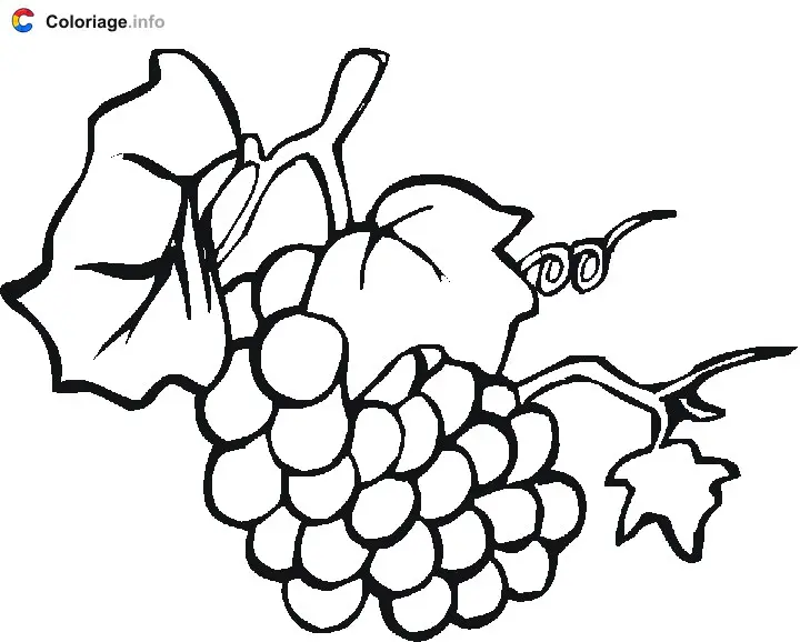Coloriage Vigne et raisin - Raisin à imprimer