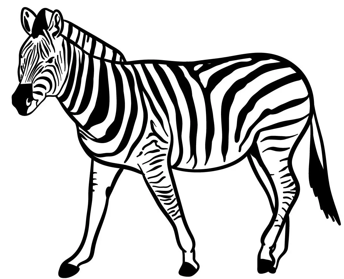Coloriage Zèbre Espèce Herbivores Vivant En Afrique - Animaux sauvages à imprimer