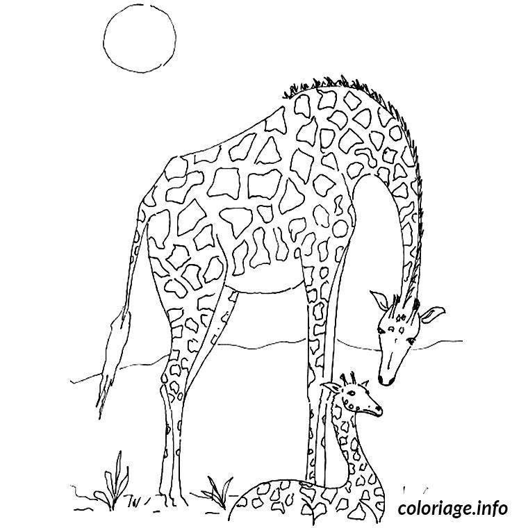 Coloriage Giraffe Dessin à Imprimer