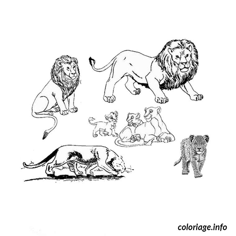 Coloriage A Imprimer Afrique