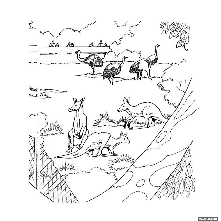 Coloriage Animaux australie - Animaux à imprimer